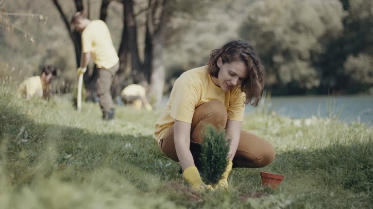 Best Lawn Maintenance Plans  in West Rancho Dominguez, CA